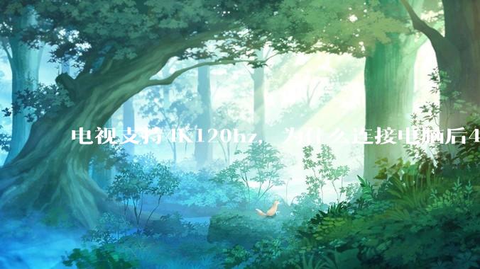 电视支持4K120hz，为什么连接电脑后4K下最高只能选择60hz？
