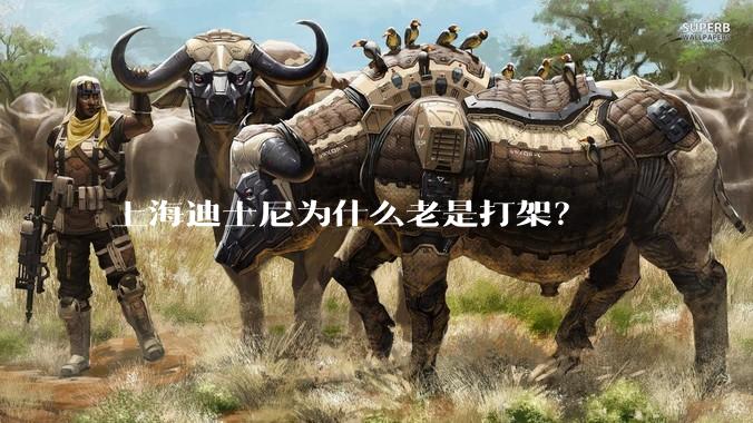 上海迪士尼为什么老是打架？