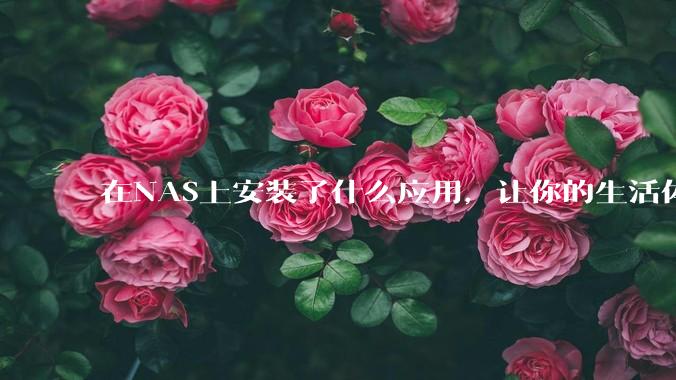 在NAS上安装了什么应用，让你的生活体验有了巨大的提升？