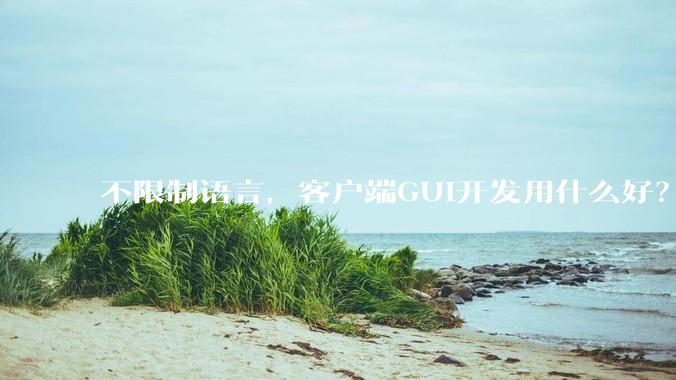 不限制语言，客户端GUI开发用什么好？
