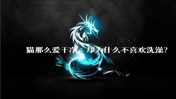 猫那么爱干净，却为什么不喜欢洗澡？