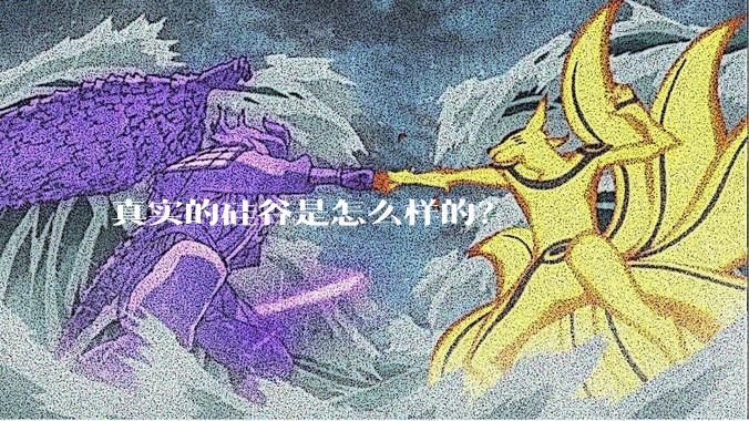 真实的硅谷是怎么样的？