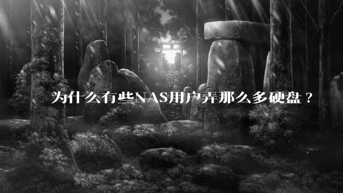 为什么有些NAS用户弄那么多硬盘?
