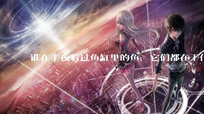 谁在半夜看过鱼缸里的鱼，它们都在干什么？