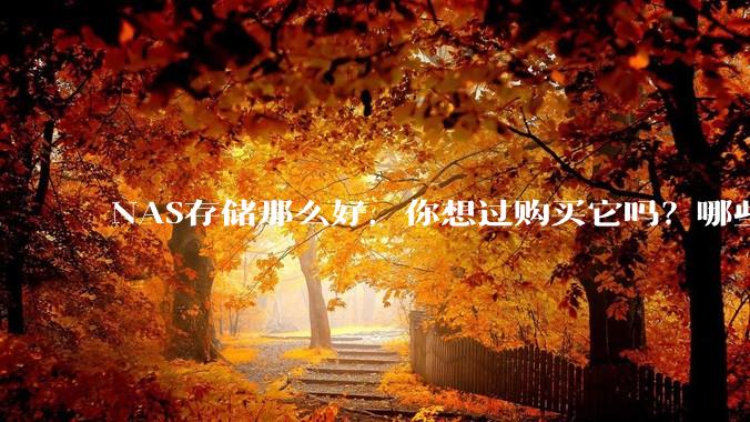 NAS存储那么好，你想过购买它吗？哪些NAS值得推荐？